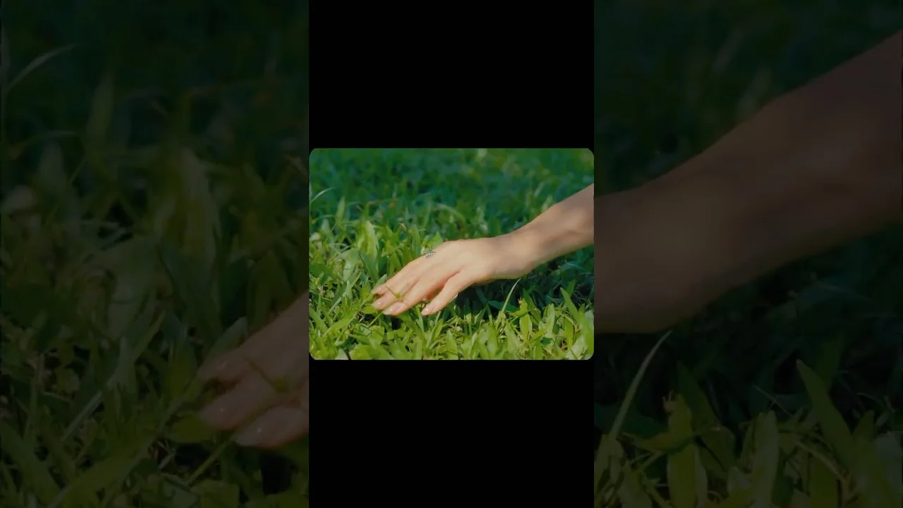 Music video — Zeng Ziyu